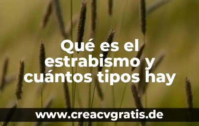 Qué es un código y cuantos tipos hay 8 Qué es el estrabismo y cuántos tipos hay