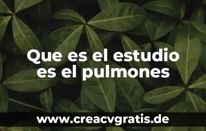 Que es el lenguaje y sus tipos 5 Que es el estudio es el pulmones