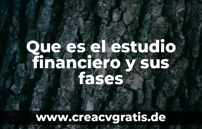 Que es un proyecto tipos y fases integran 6 Que es el estudio financiero y sus fases