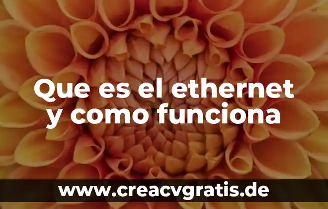 ¿Qué es Fast Ethernet en informática? 4 Que es el ethernet y como funciona