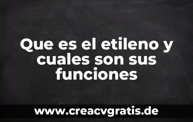 Que es una cabecera municipal y cuales son sus funciones 5 Que es el etileno y cuales son sus funciones