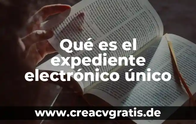Que es comercio electronico dhl 6 Qué es el expediente electrónico único