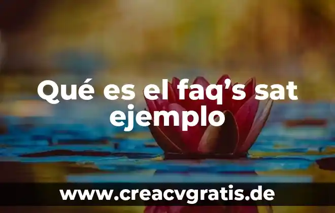 Que es el precio del dinero ejemplo 7 Qué es el faq’s sat ejemplo