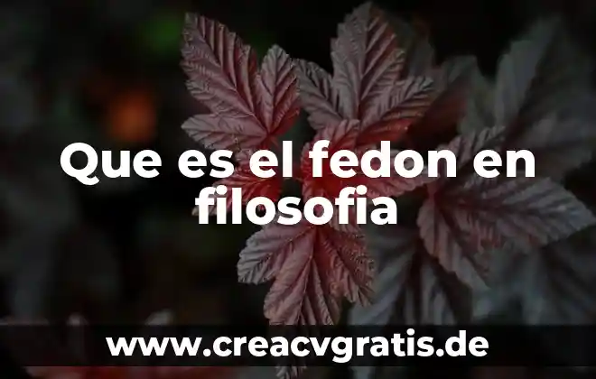 Qué es el efecto bisel 3 Que es el fedon en filosofia