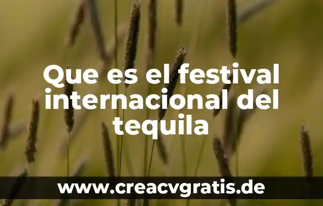 Qué es legalidad internacional 7 Que es el festival internacional del tequila