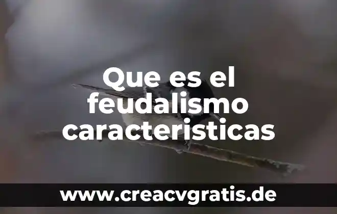 Qué es feudalismo relacionado con la historia 3 Que es el feudalismo caracteristicas