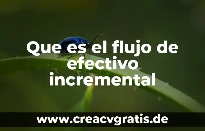 Qué es el estado sólido definición 6 Que es el flujo de efectivo incremental