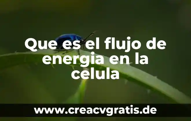 Qué es la membrana de la célula 3 Que es el flujo de energia en la celula