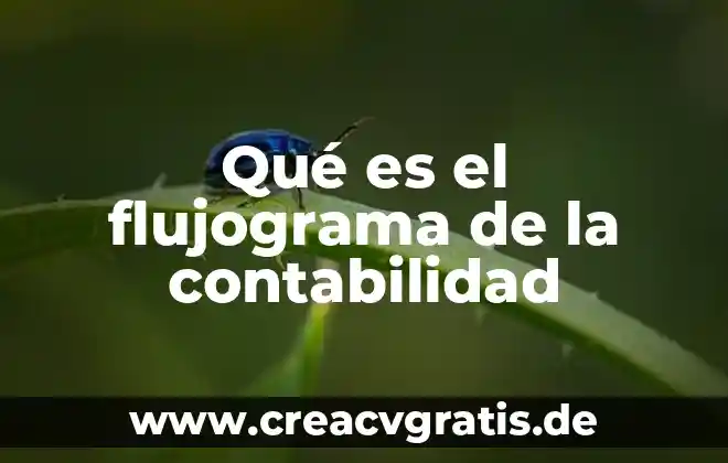 Que es ppp contabilidad 8 Qué es el flujograma de la contabilidad