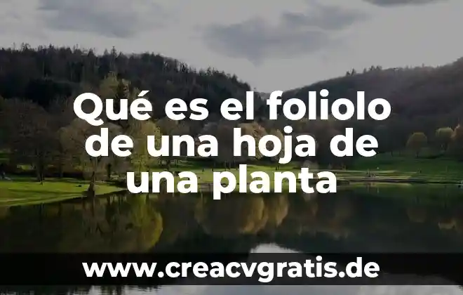 Que es la operacion de la planta 6 Qué es el foliolo de una hoja de una planta