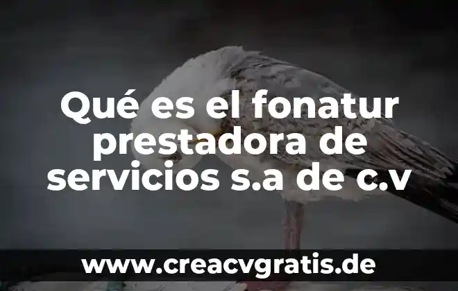 Qkl servicios s.a de c.v que es 8 Qué es el fonatur prestadora de servicios s.a de c.v