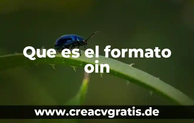 Formato de inscripcion de prepa que es 5 Que es el formato oin