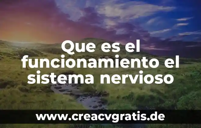 Qué es la teoría estructural funcionamiento 5 Que es el funcionamiento el sistema nervioso