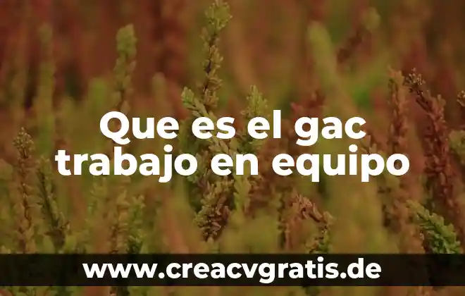 Qué es grupo y equipo 3 Que es el gac trabajo en equipo