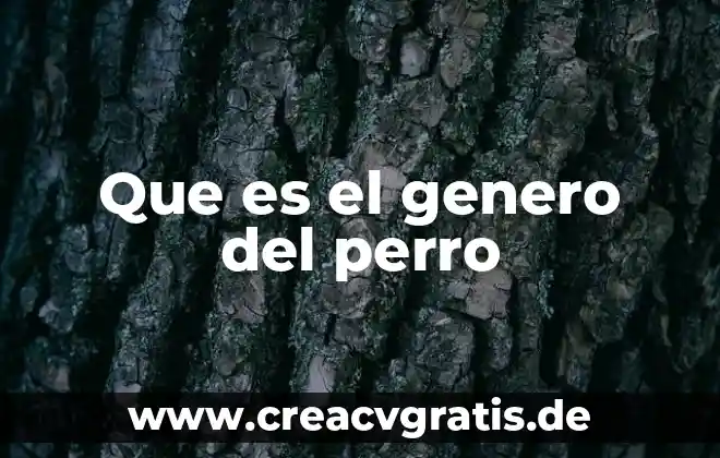 Que es si un perro vomita y hace sangre 3 Que es el genero del perro