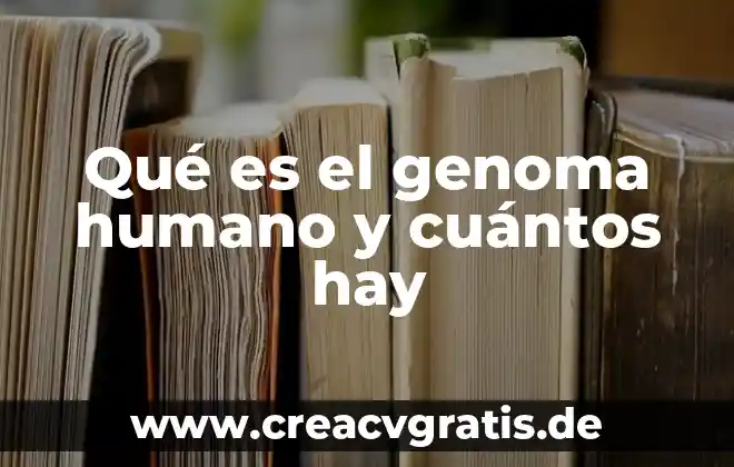Que es violencia y cuantos tipos de violenci hay 5 Qué es el genoma humano y cuántos hay