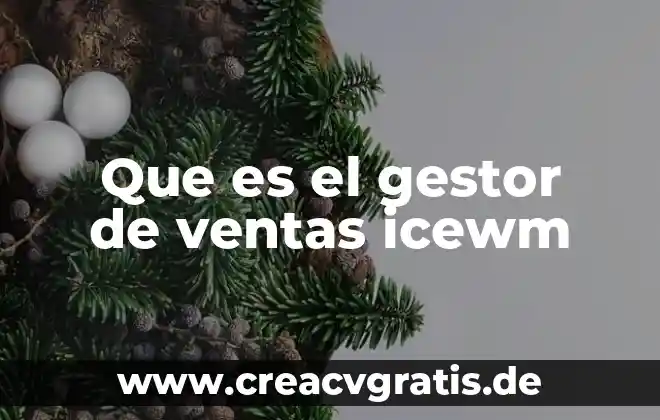 Que es ser un buen empresario 3 Que es el gestor de ventas icewm