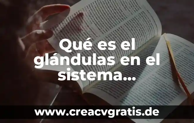 Qué es la vesícula seminal del sistema reproductor masculino 4 Qué es el glándulas en el sistema reproductor masculino anexas
