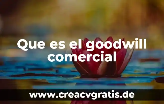 Que es nombre comercial en el rfc 5 Que es el goodwill comercial