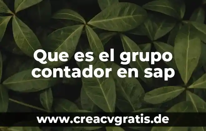 Qué es el código de ética profesional del contador 4 Que es el grupo contador en sap