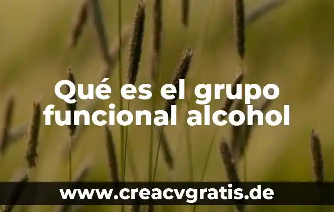 Que es una linea de autoridad funcional en un organigrama 7 Qué es el grupo funcional alcohol