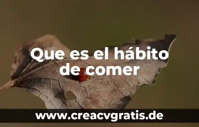Que es bueno comer para un examen 7 Que es el hábito de comer