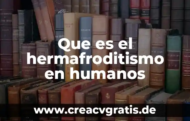 Que es el paradigma de derechos humanos 5 Que es el hermafroditismo en humanos