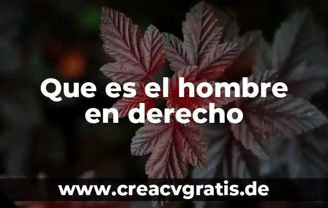Que es el modo termino y condicion en derecho 8 Que es el hombre en derecho