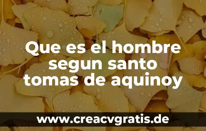 Que es derecho segun santo tomas de aquino 8 Que es el hombre segun santo tomas de aquinoy