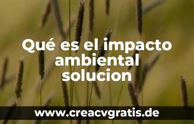 Que es impacto del agua 6 Qué es el impacto ambiental solucion