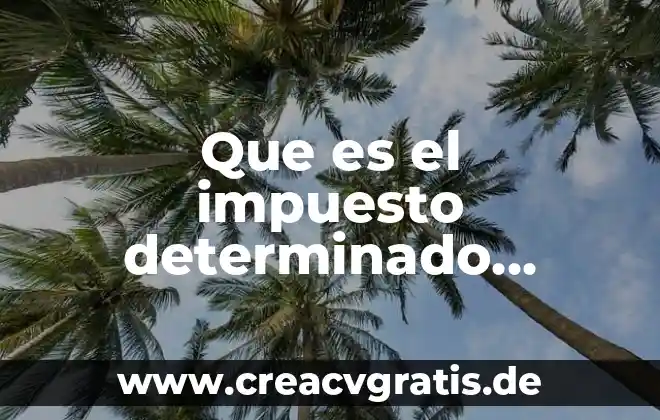 Que es una comision en la contabilidad 6 Que es el impuesto determinado contabilidad