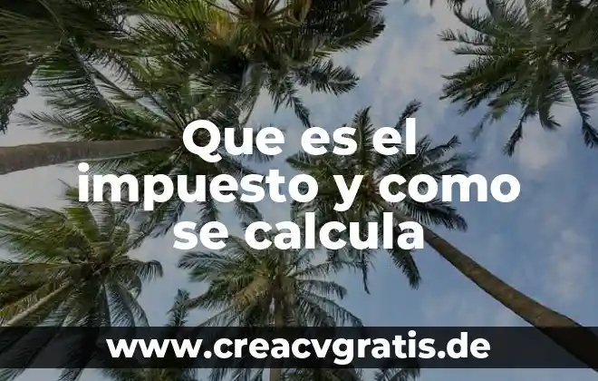 Que es circuncidado concepto 6 Que es el impuesto y como se calcula