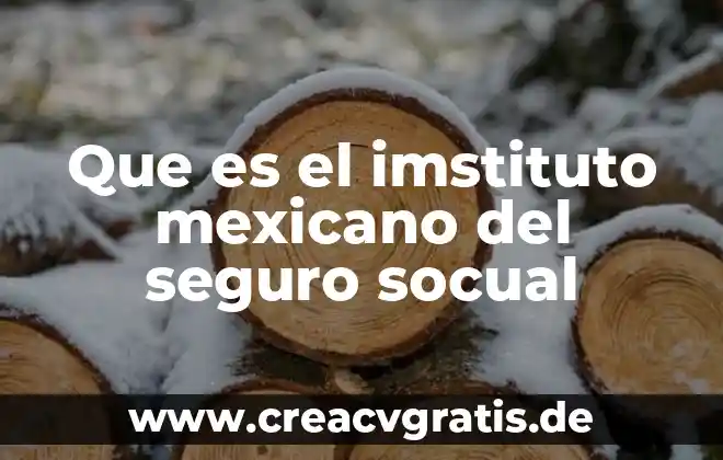 Que es seguro de viaje aeromexico 3 Que es el imstituto mexicano del seguro socual
