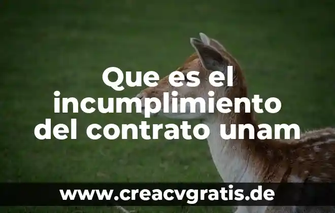 Que es contrato de trabajo tipos 3 Que es el incumplimiento del contrato unam