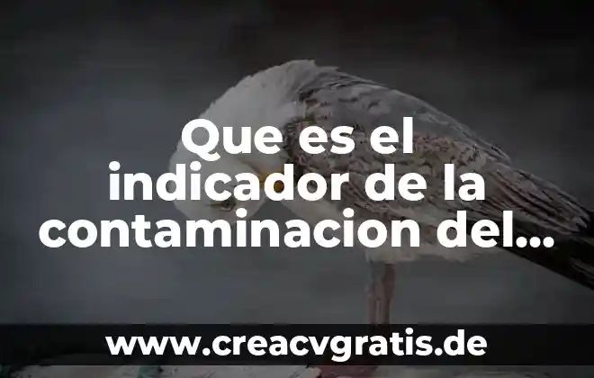 Que es la contaminacion del agua yahoo respuestas 6 Que es el indicador de la contaminacion del aire