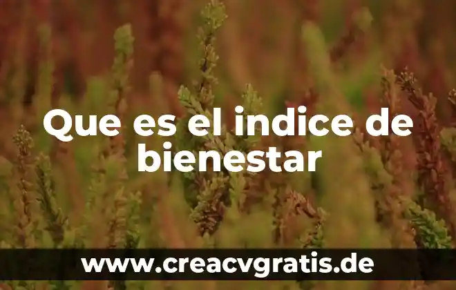 Línea del bienestar mínimo que es 6 Que es el indice de bienestar