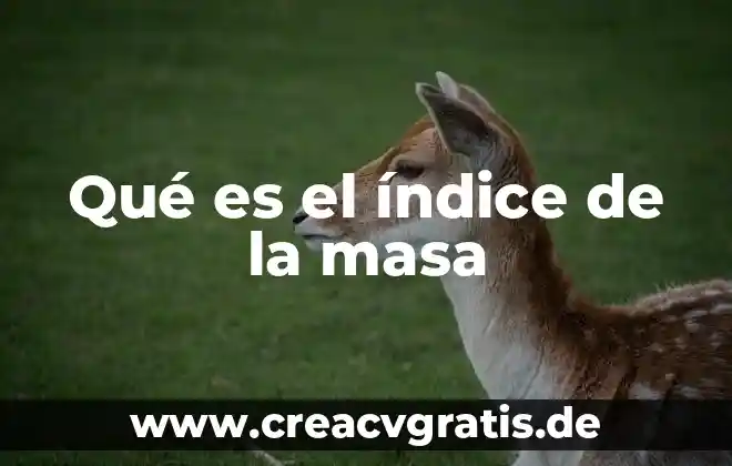 Qué es el índice politrópico 3 Qué es el índice de la masa
