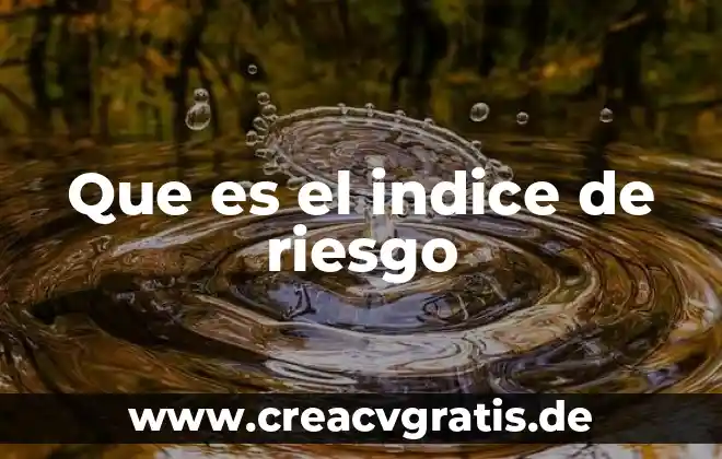 Factores de riesgo de violencia que es 4 Que es el indice de riesgo
