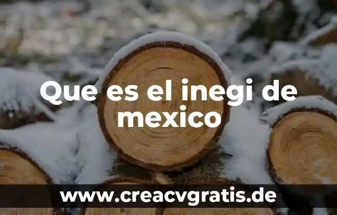 Que es un cuaderno de viaje y sus caracteristicas 4 Que es el inegi de mexico