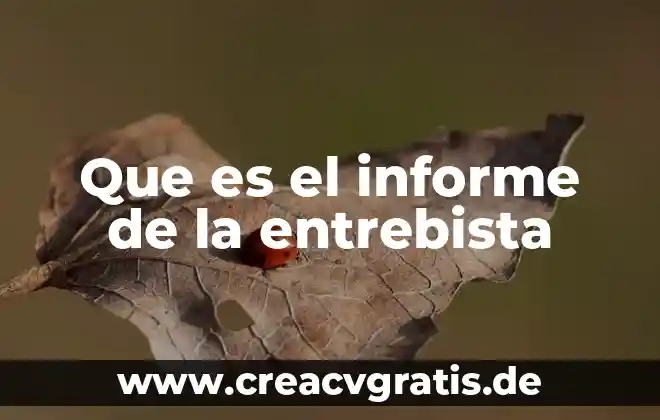 Que es un informe y como se elabora y tipos 3 Que es el informe de la entrebista