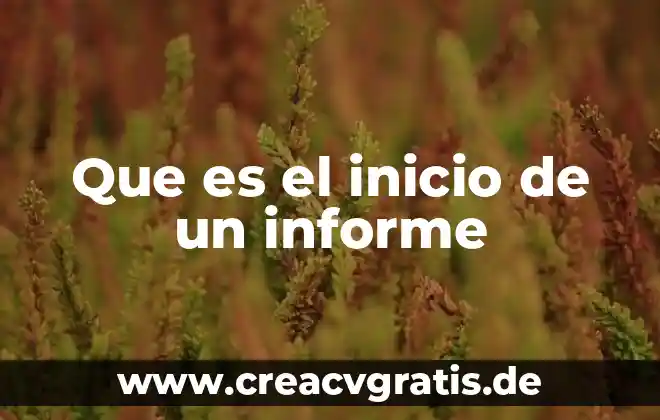 Que es un informe parcial en secundaria 3 Que es el inicio de un informe