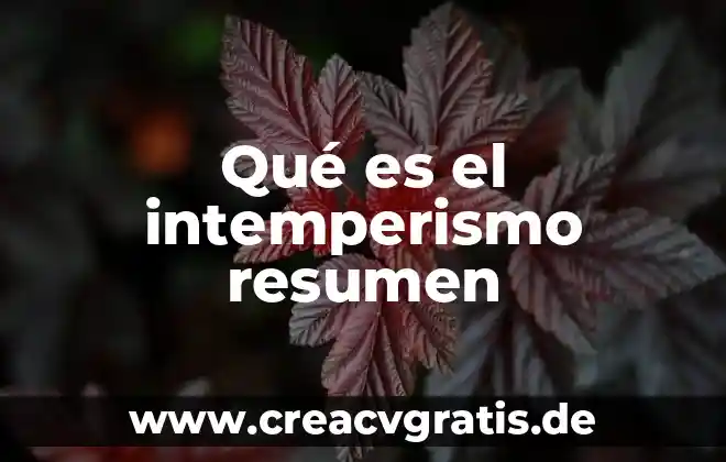 Resumen de la iso 19011 que es 5 Qué es el intemperismo resumen