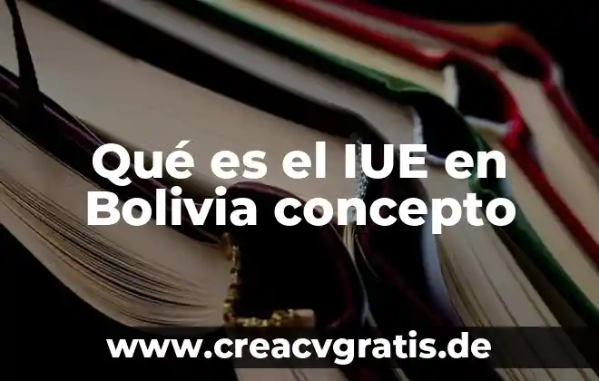 Que es insomne concepto 7 Qué es el IUE en Bolivia concepto