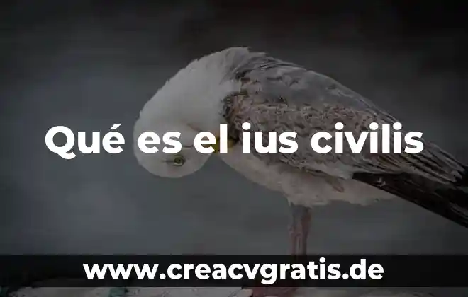 Que es la escorrentia del agua 4 Qué es el ius civilis