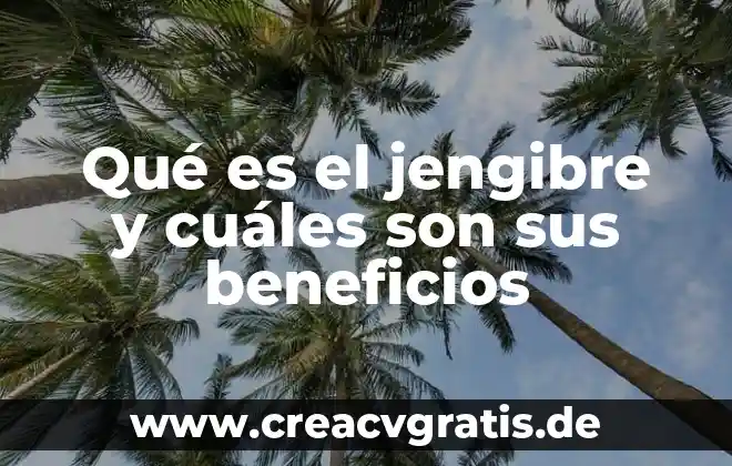 Que es la tecnologia y cuales son sus avances 6 Qué es el jengibre y cuáles son sus beneficios