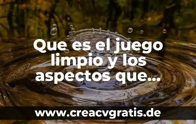Resumen que es ser limpio 8 Que es el juego limpio y los aspectos que abarca