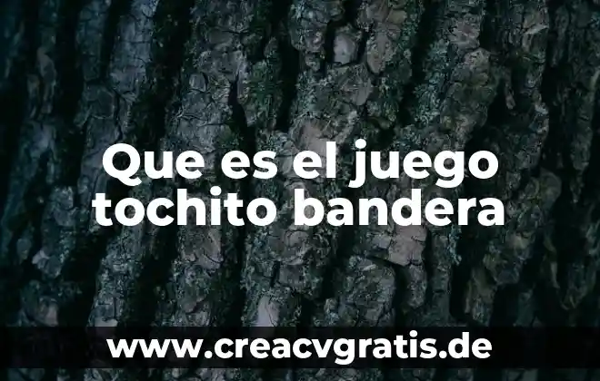 Que es la oposicion en el juego 5 Que es el juego tochito bandera