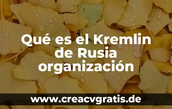 Que es un intermediario en una organizacion 6 Qu茅 es el Kremlin de Rusia organizaci贸n