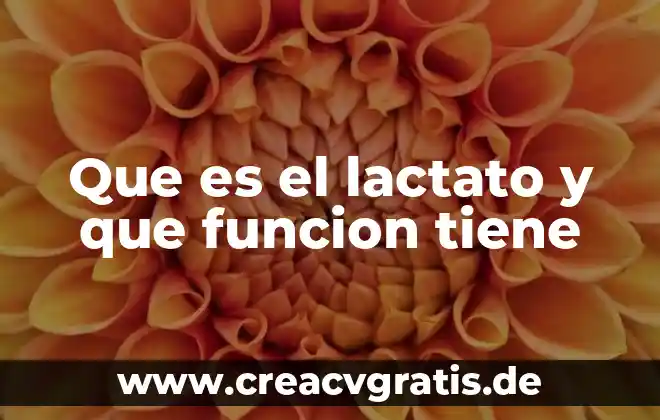Que es la funcion hidraulica 4 Que es el lactato y que funcion tiene