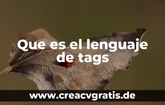 Qué es el lenguaje folk 6 Que es el lenguaje de tags